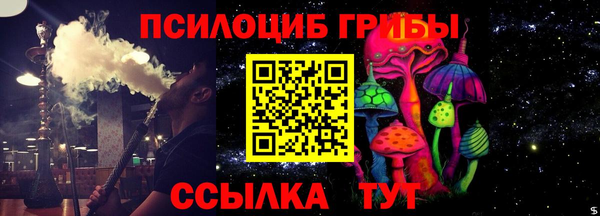 Галлюциногенные грибы Psilocybe Электросталь